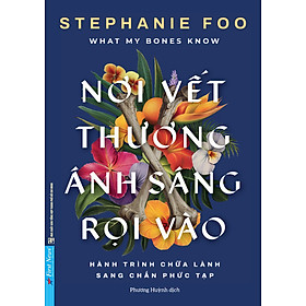 Nơi Vết Thương Ánh Sáng Rọi Vào