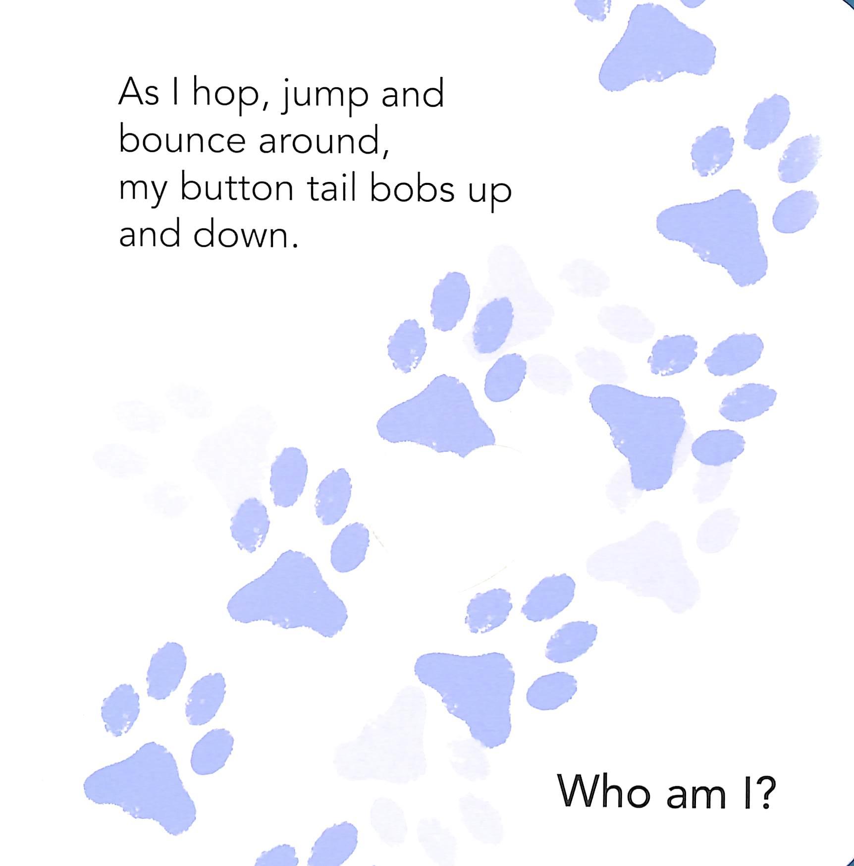 Who Am I? Touch & Feel Flap Book: Pets