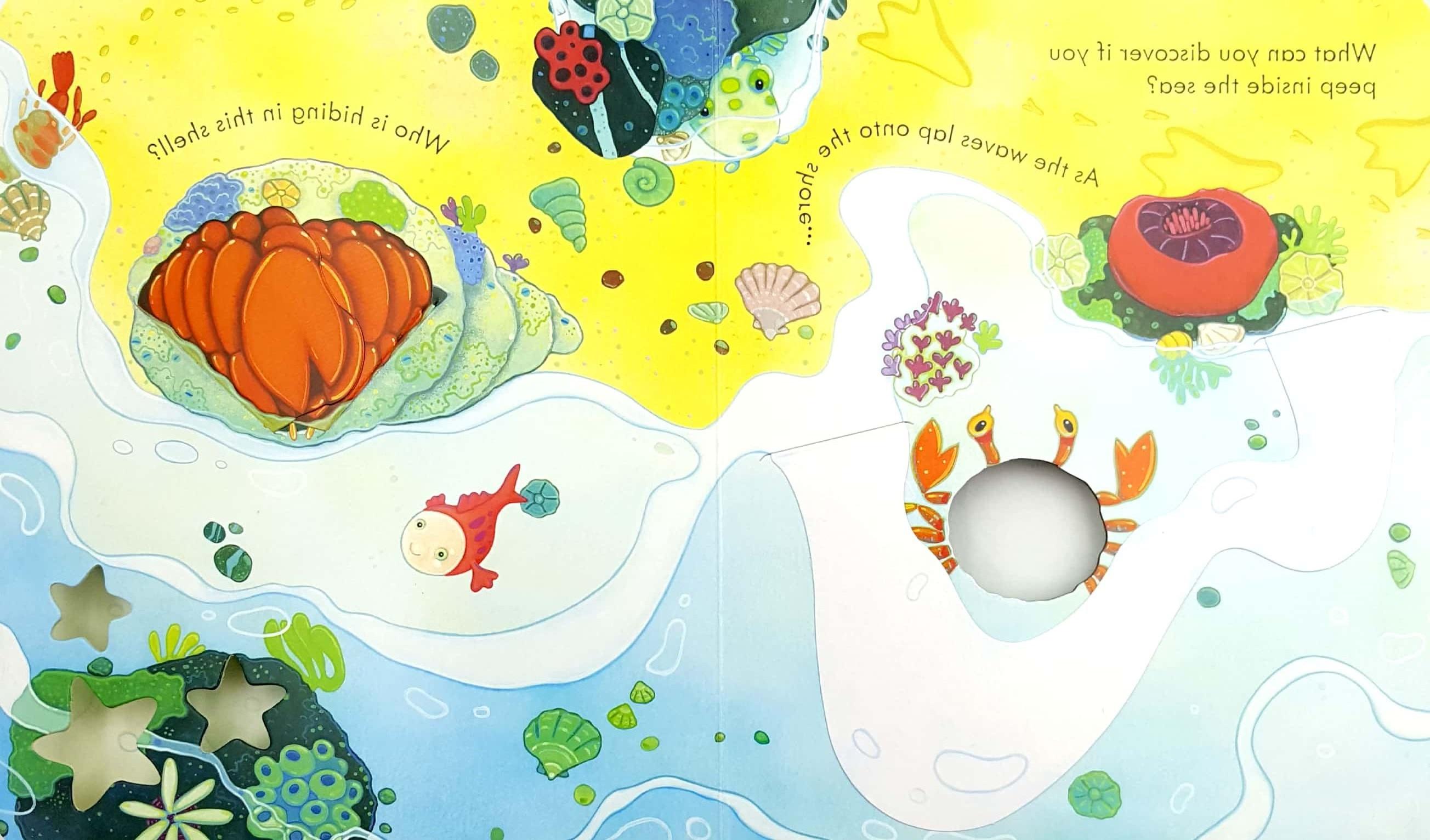 Usborne Peep Inside The Sea (Board book)