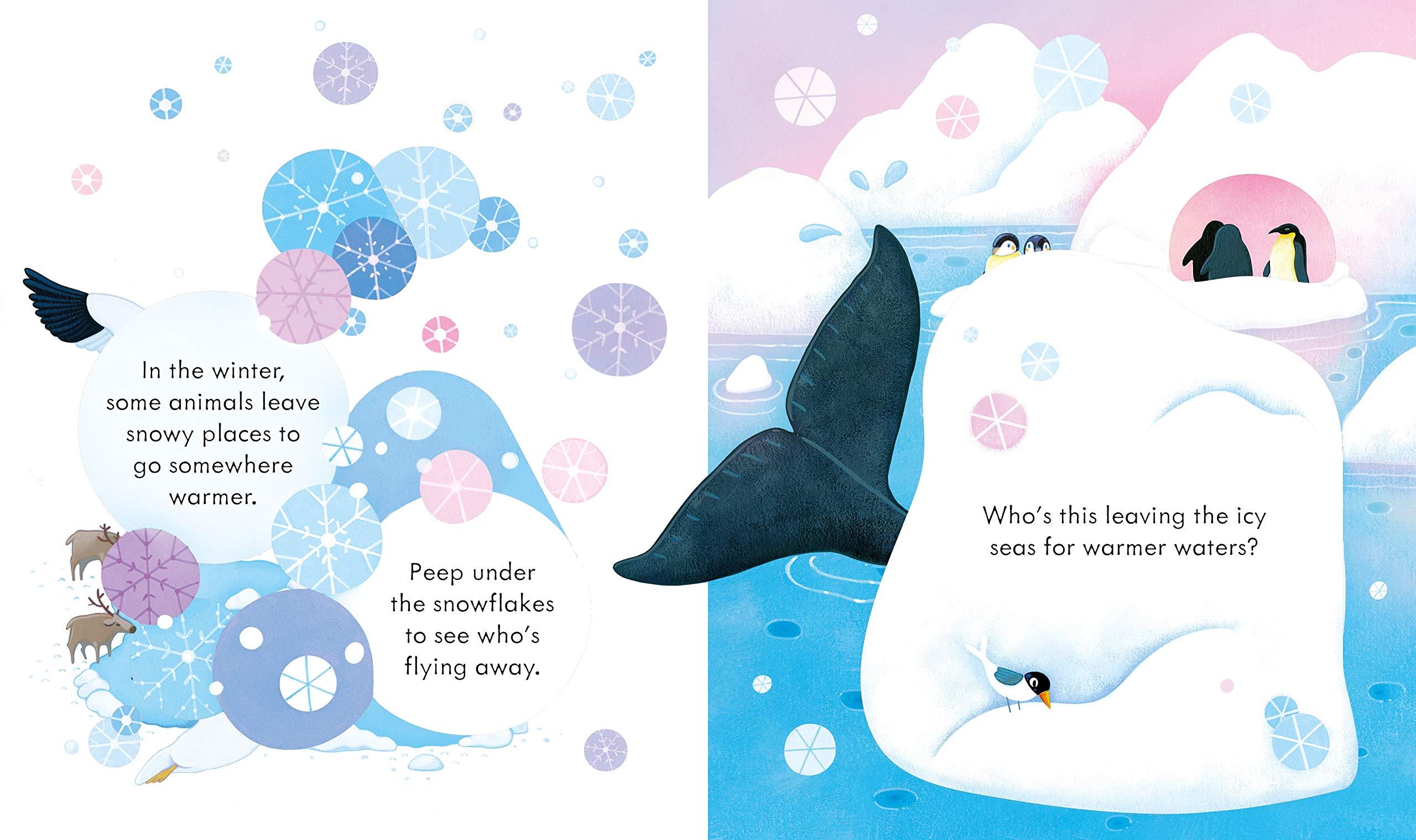 Peep Inside Snowy Places