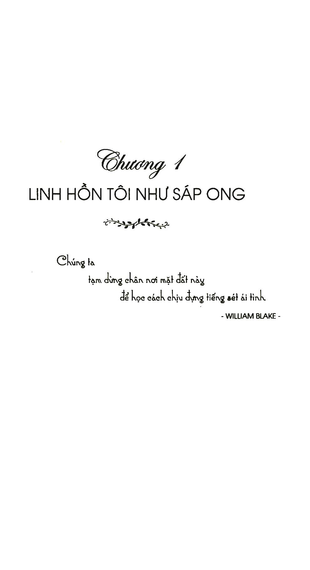 Chiếc Thang Cao Màu Xanh