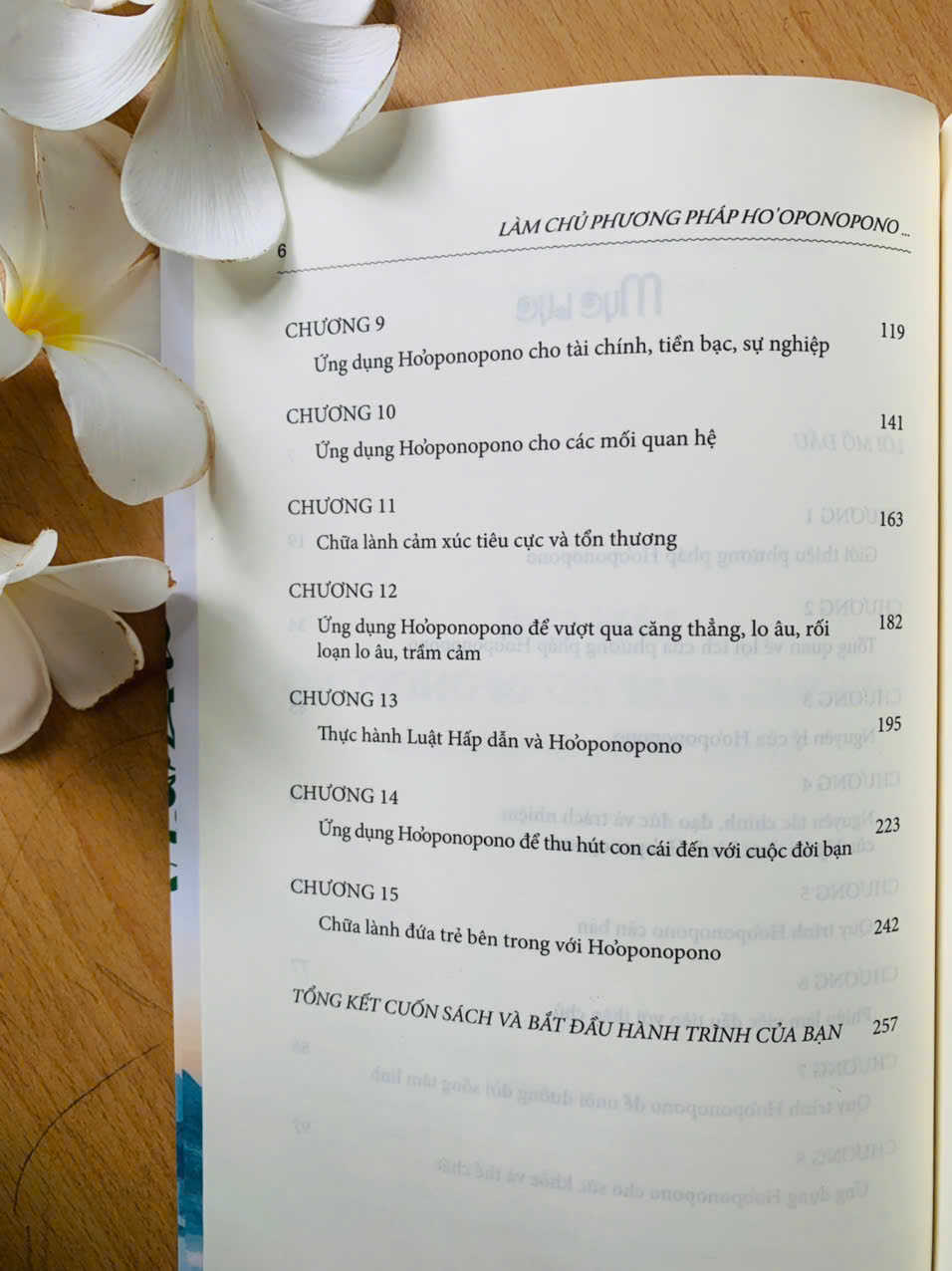 Sách LÀM CHỦ PHƯƠNG PHÁP HO