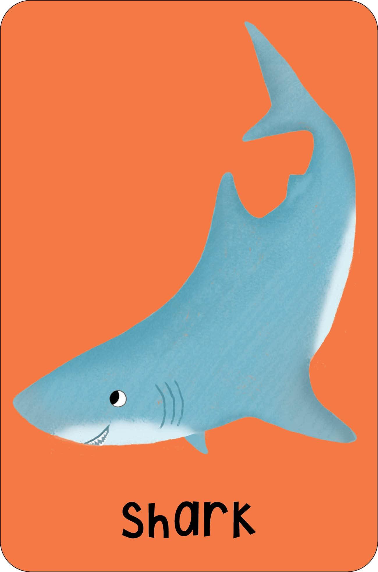 Sea Snap!