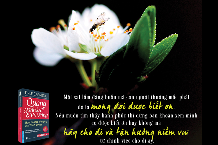 Quẳng Gánh Lo Đi Và Vui Sống (Bìa Cứng)