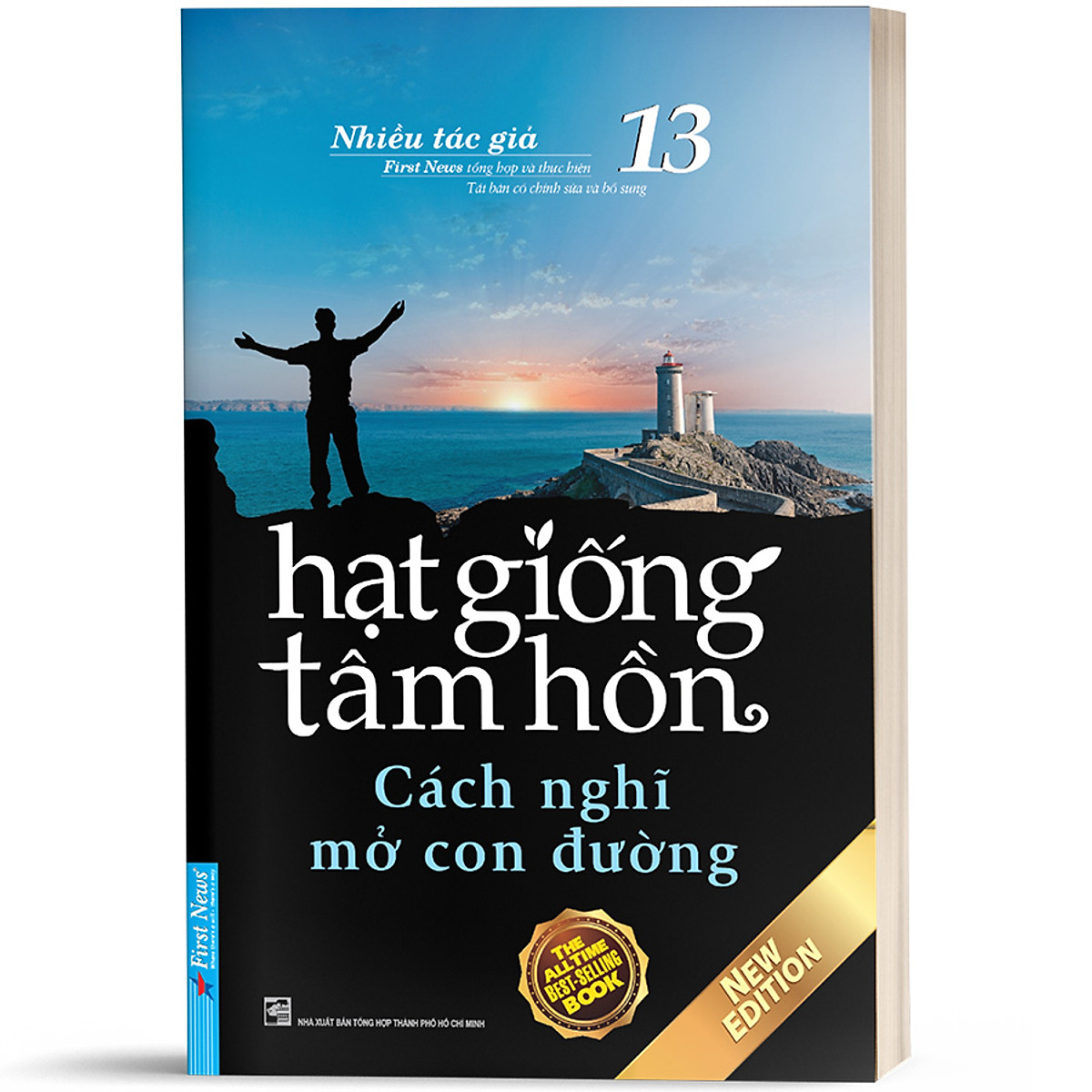 Hạt Giống Tâm Hồn 13 (Tái Bản)