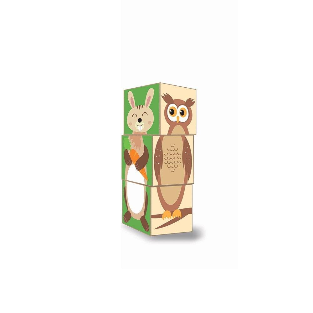 Forest Animals