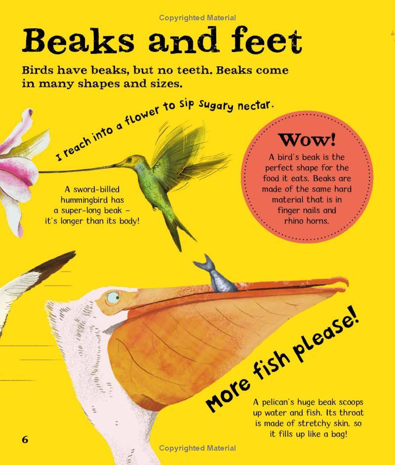 Wow! Birds