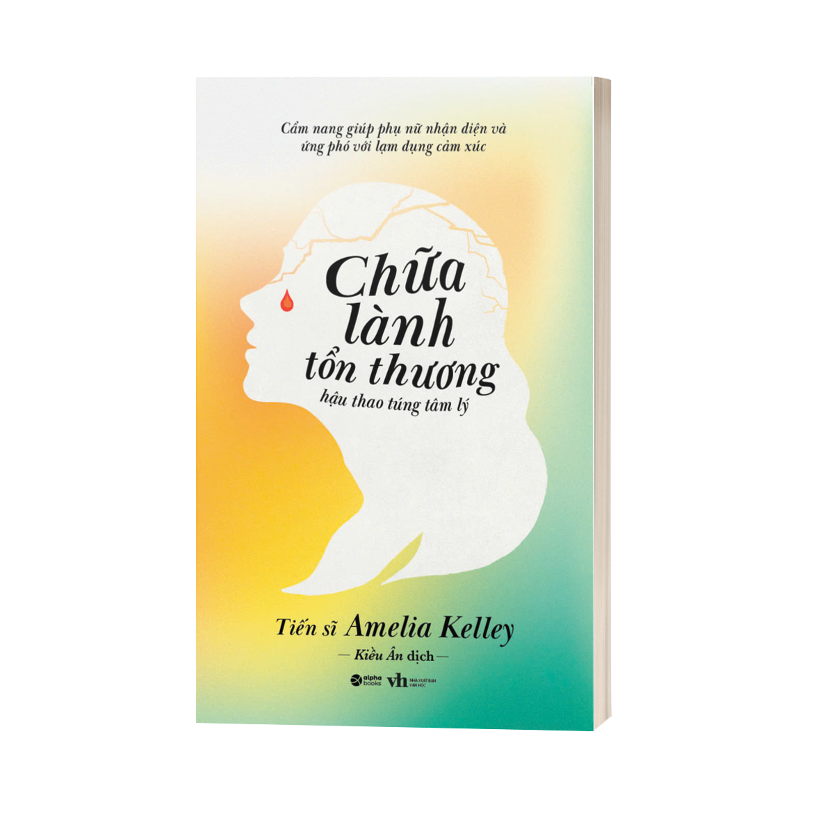Chữa Lành Tổn Thương Hậu Thao Tứng Tâm Lý