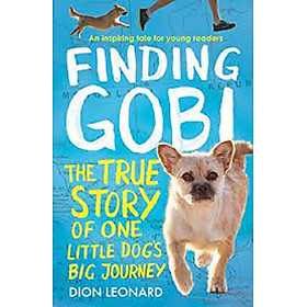 Finding Gobi
