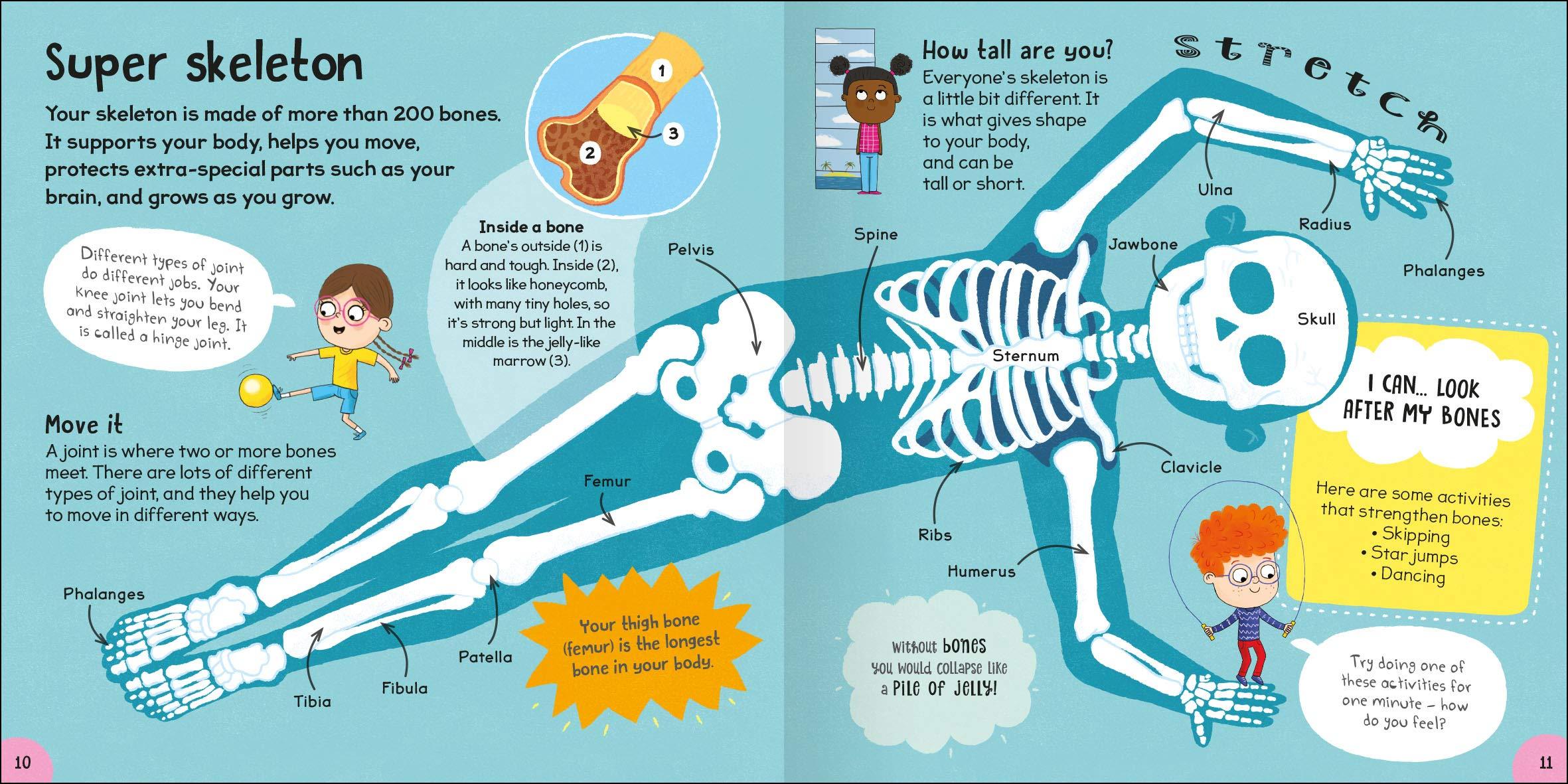First Body Book-Set off on a Head-to-Toe Adventure through the Human Body-Includes over 20 Anatomical Diagrams and a Colorful Body Systems Wall Poster - Sách về cơ thể đầu tiên