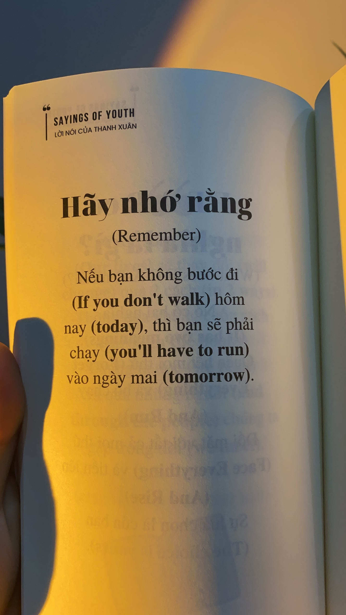 Sayings Of Youth - Lời Nói Của Thanh Xuân