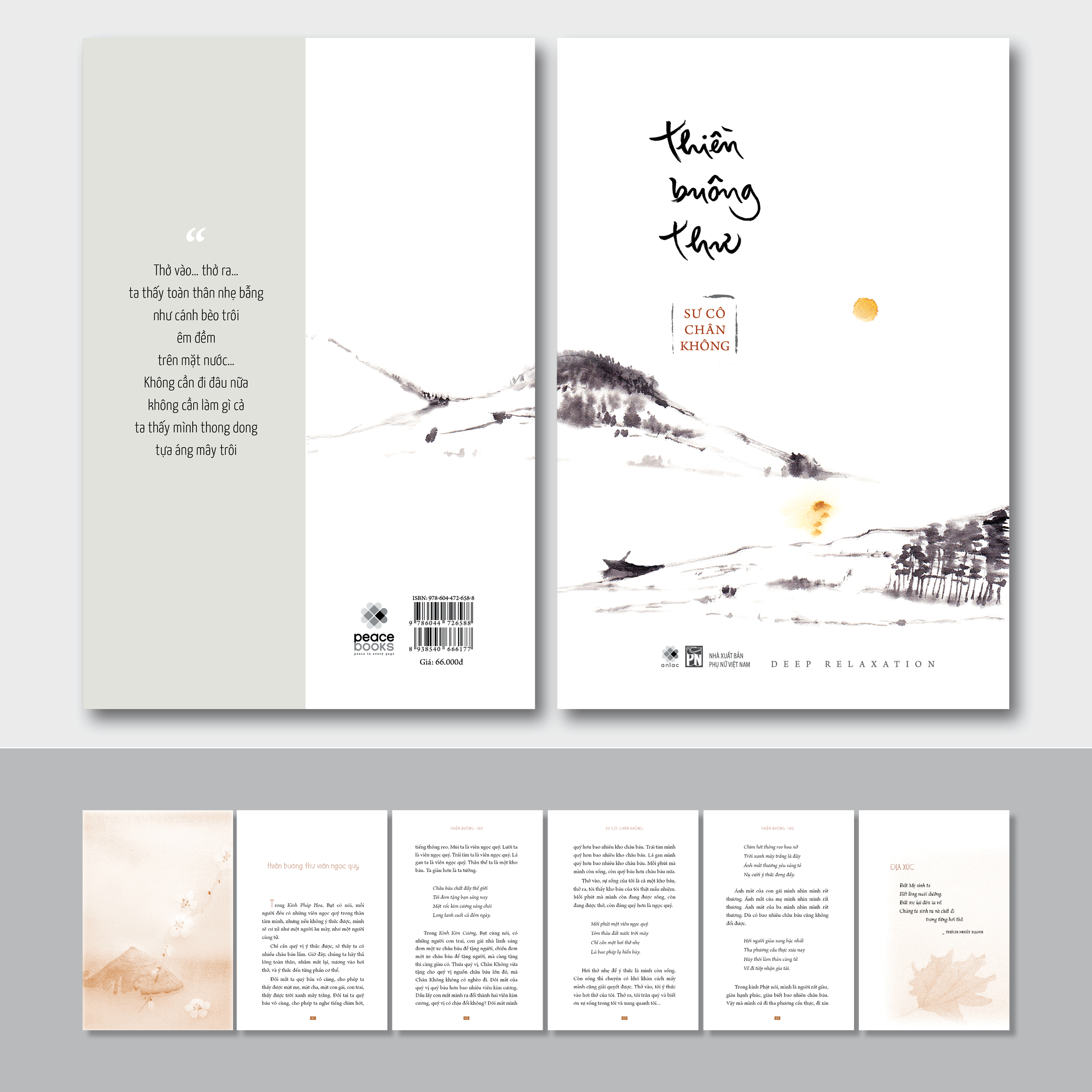 Thiền Buông Thư - Sư Cô Chân Không