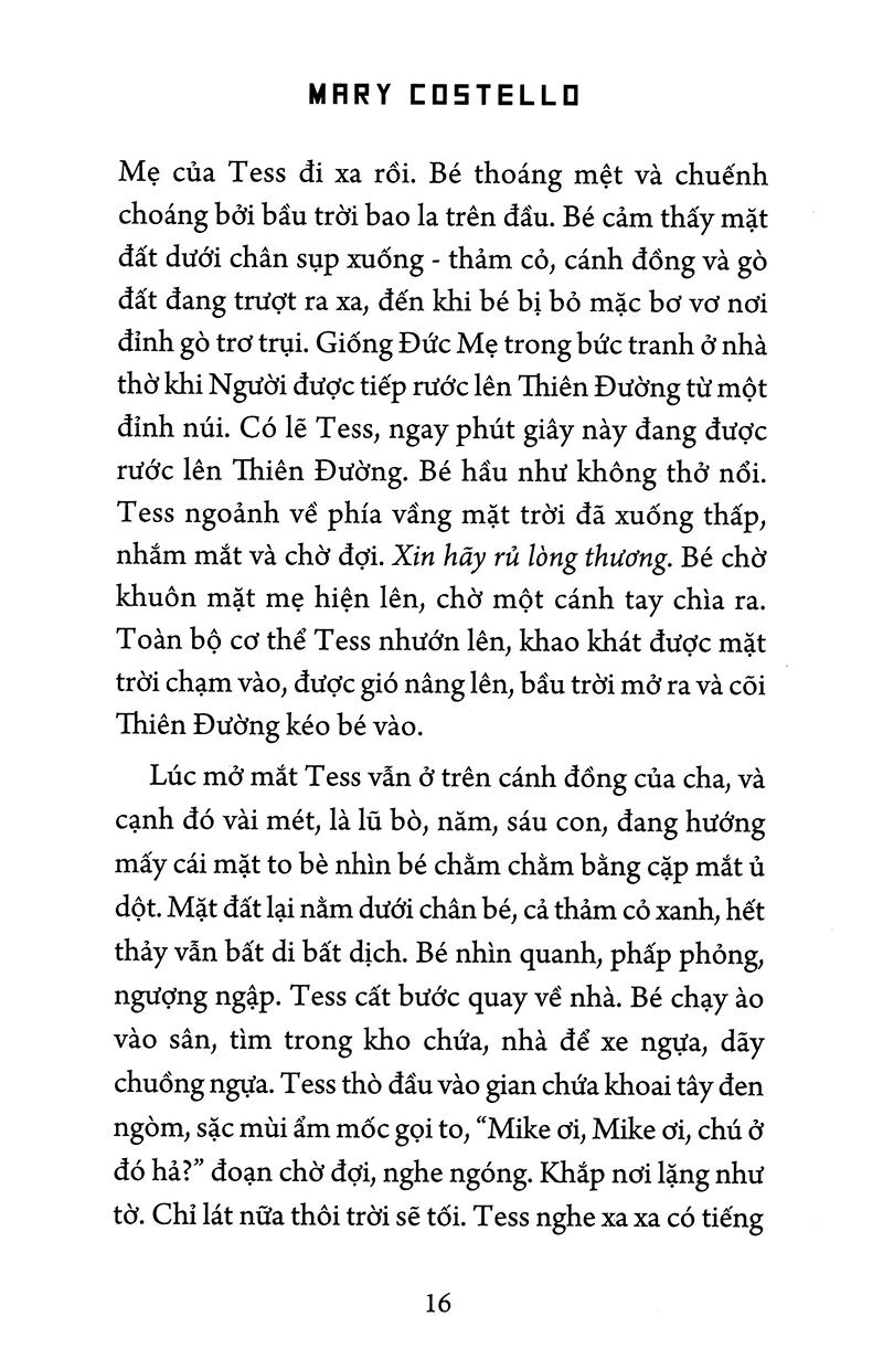 Phố Academy