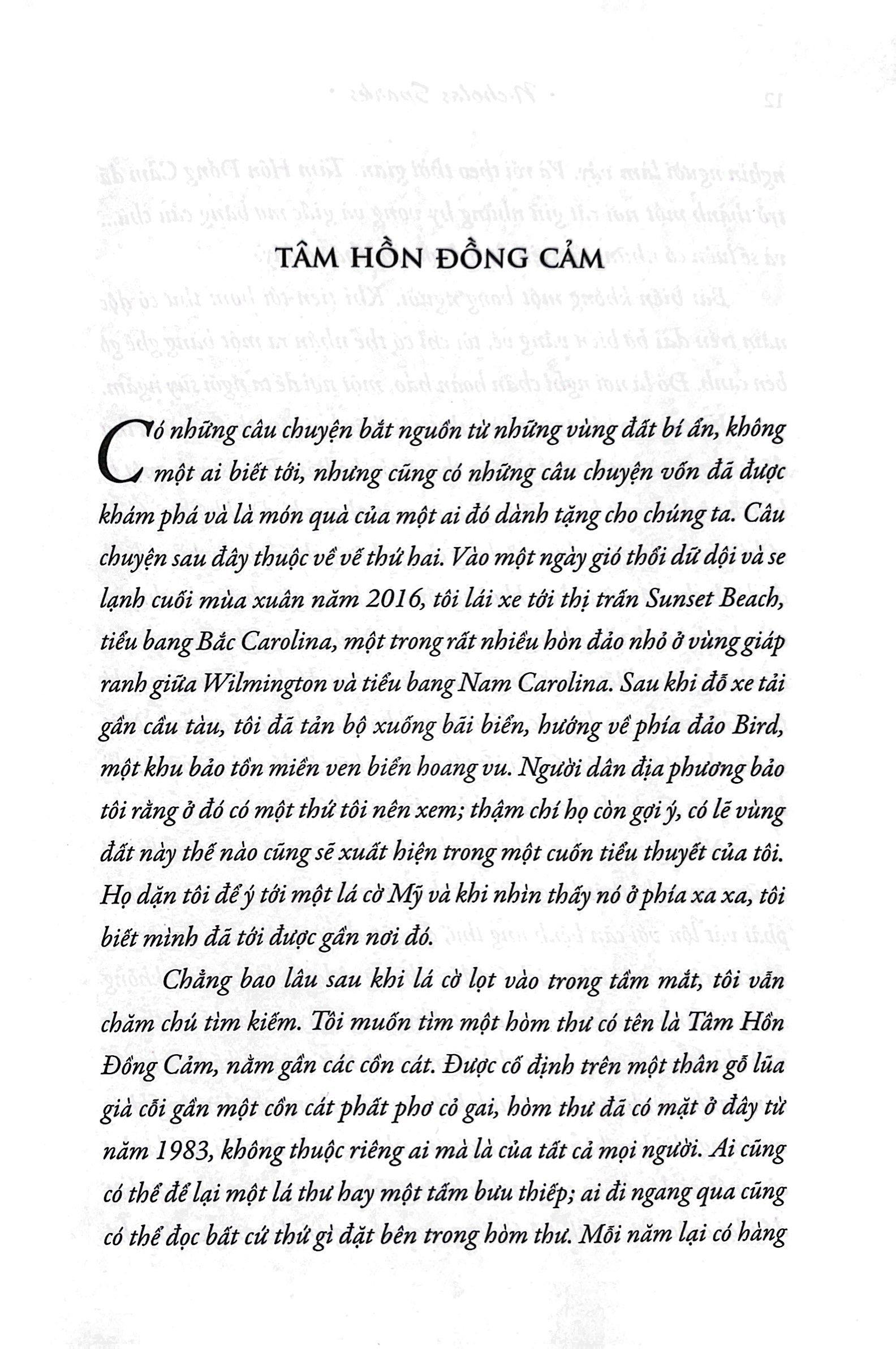 Trong Từng Hơi Thở