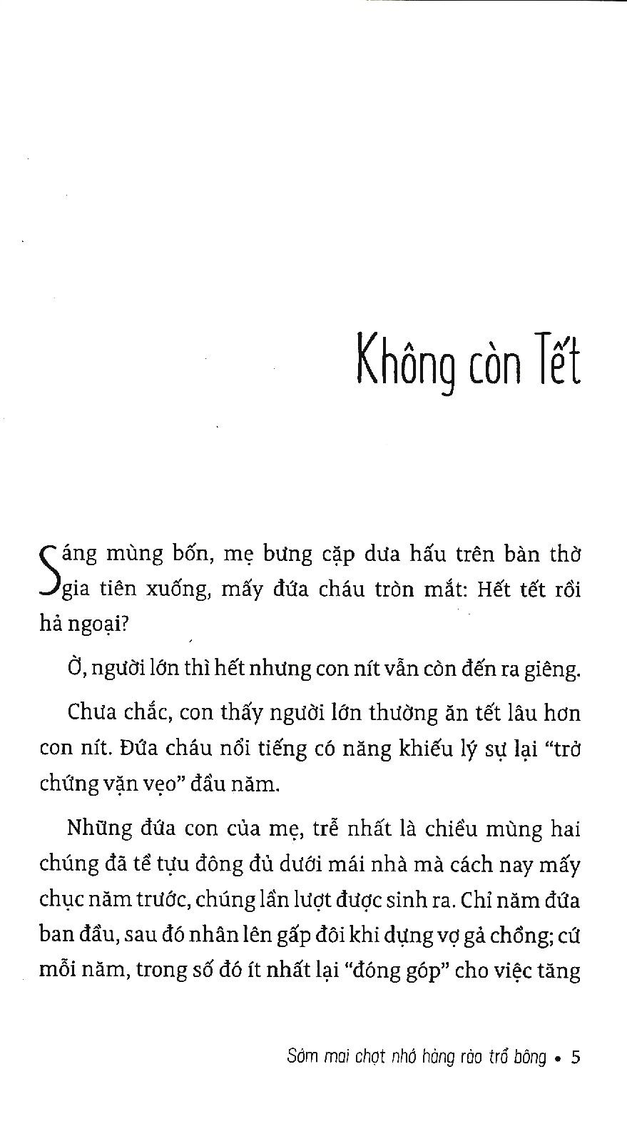 Sớm Mai Chợt Nhớ Hàng Rào Trổ Bông