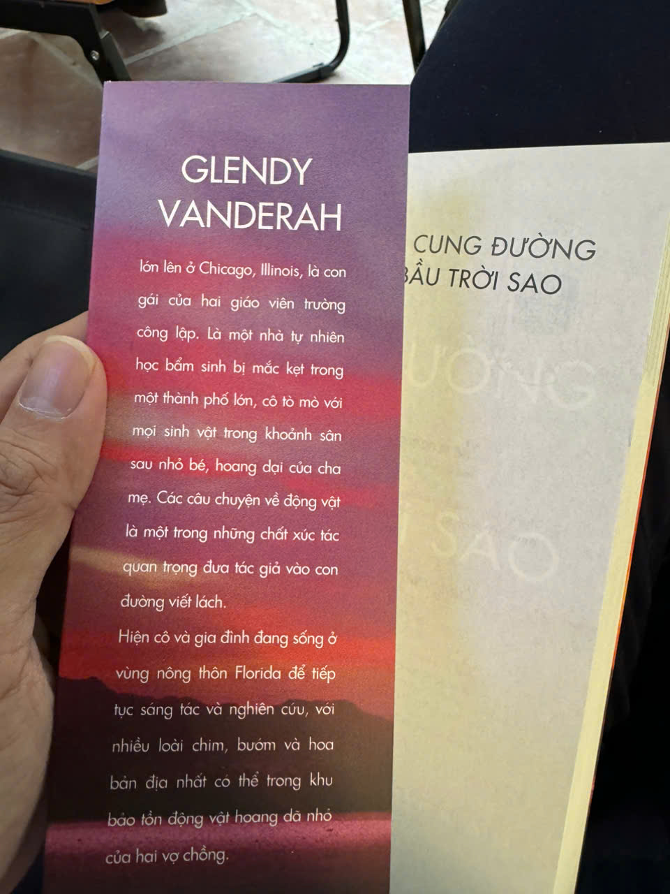 NHỮNG CUNG ĐƯỜNG DƯỚI BẦU TRỜI SAO – Glendy Vanderah – Lý Thu Hằng dịch – 1980 Books – NXB Thanh Niên