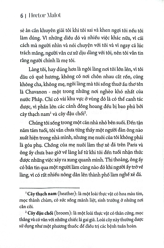 Không Gia Đình (Sbooks)