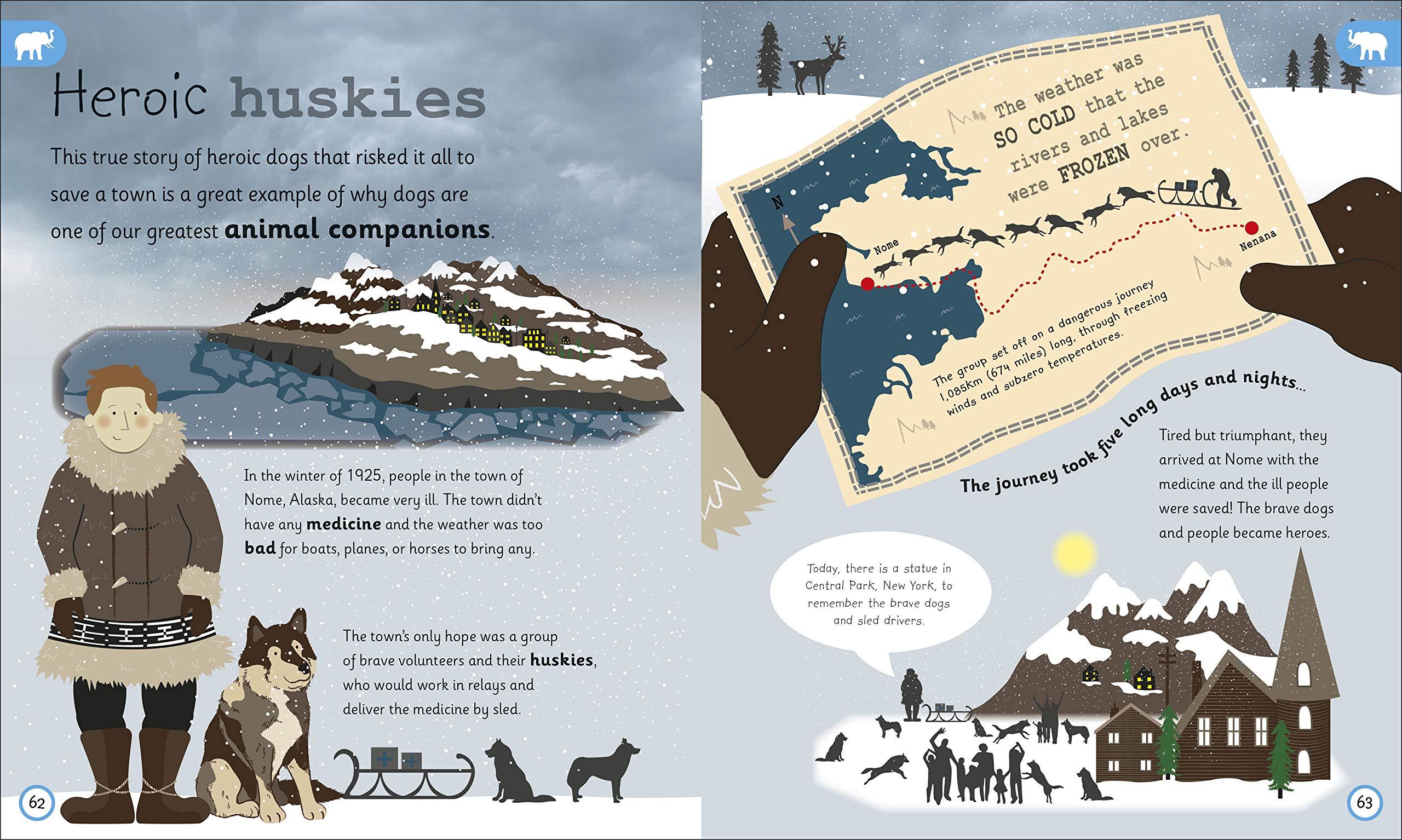 My Encyclopedia of Very Important Animals: For Little Animal Lovers Who Want to Know Everything (My Very Important Encyclopedias)