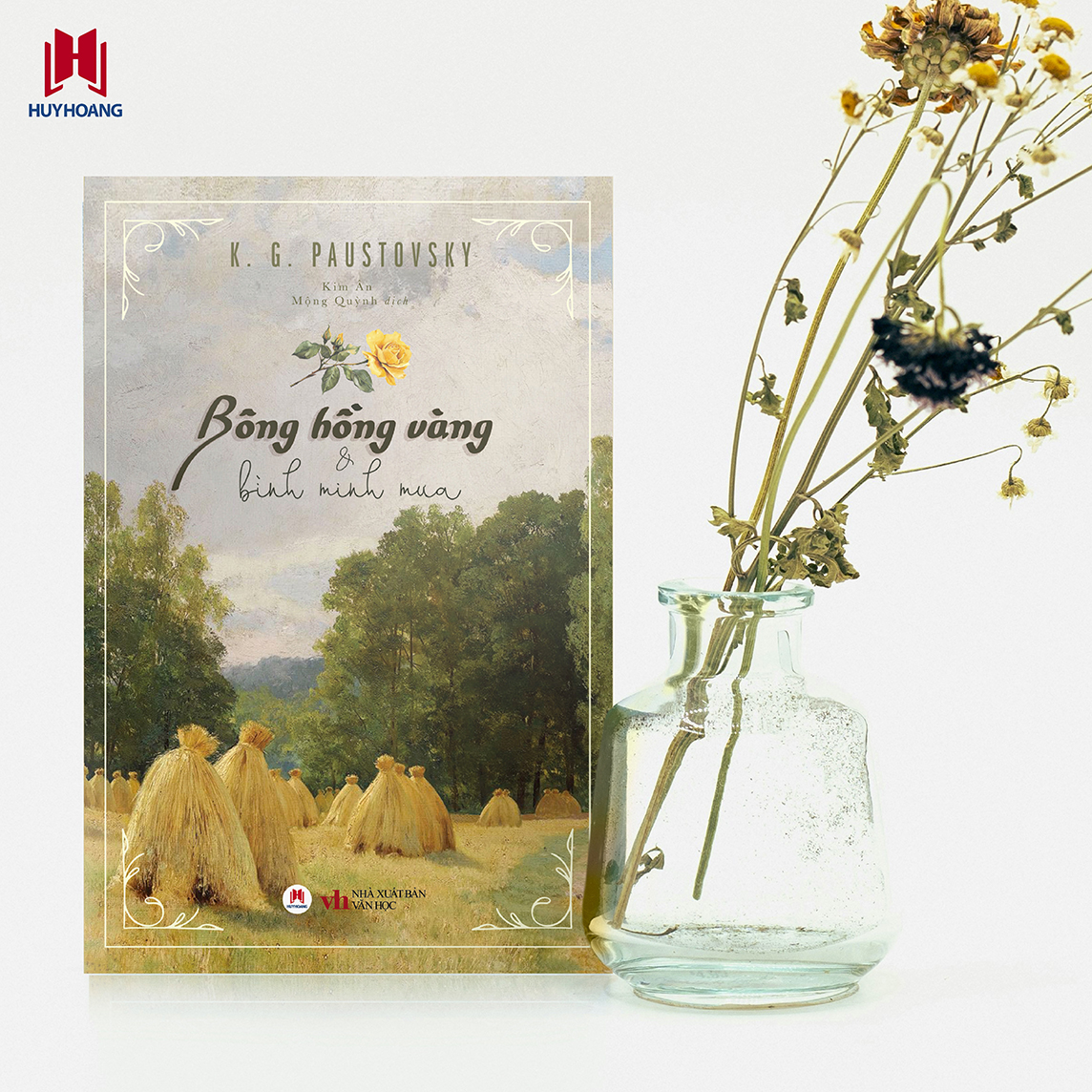Bông hồng vàng & Bình minh mưa