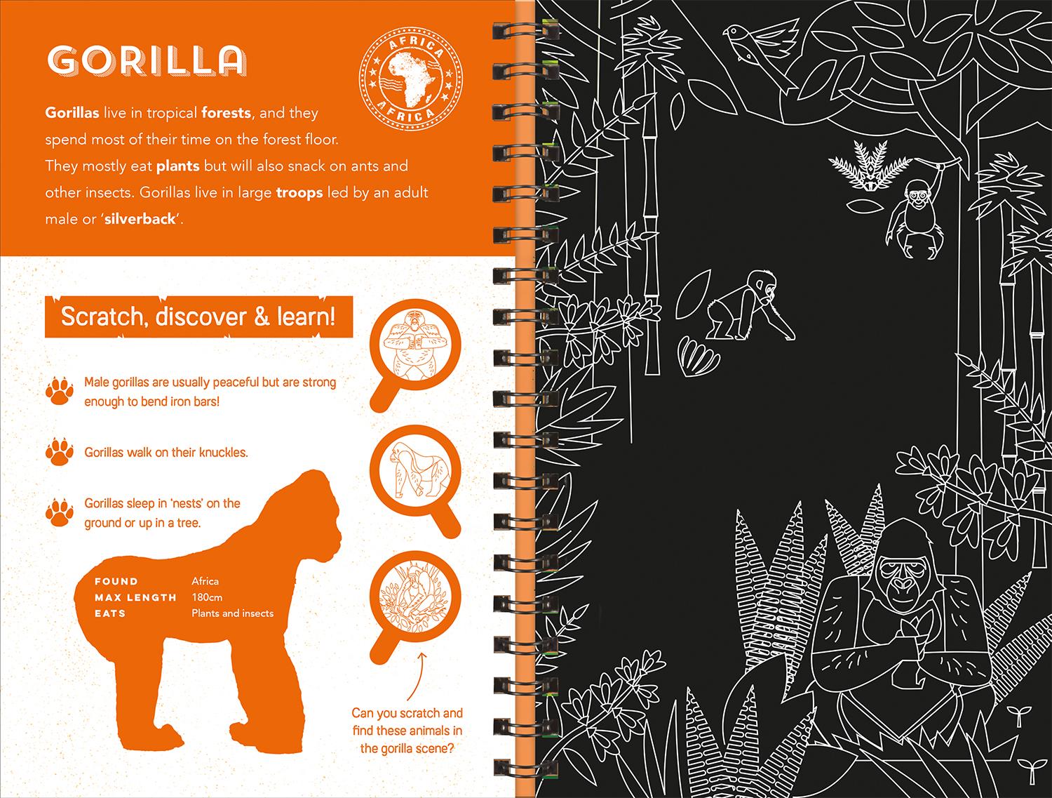 Animals (Scratch Discover & Learn)