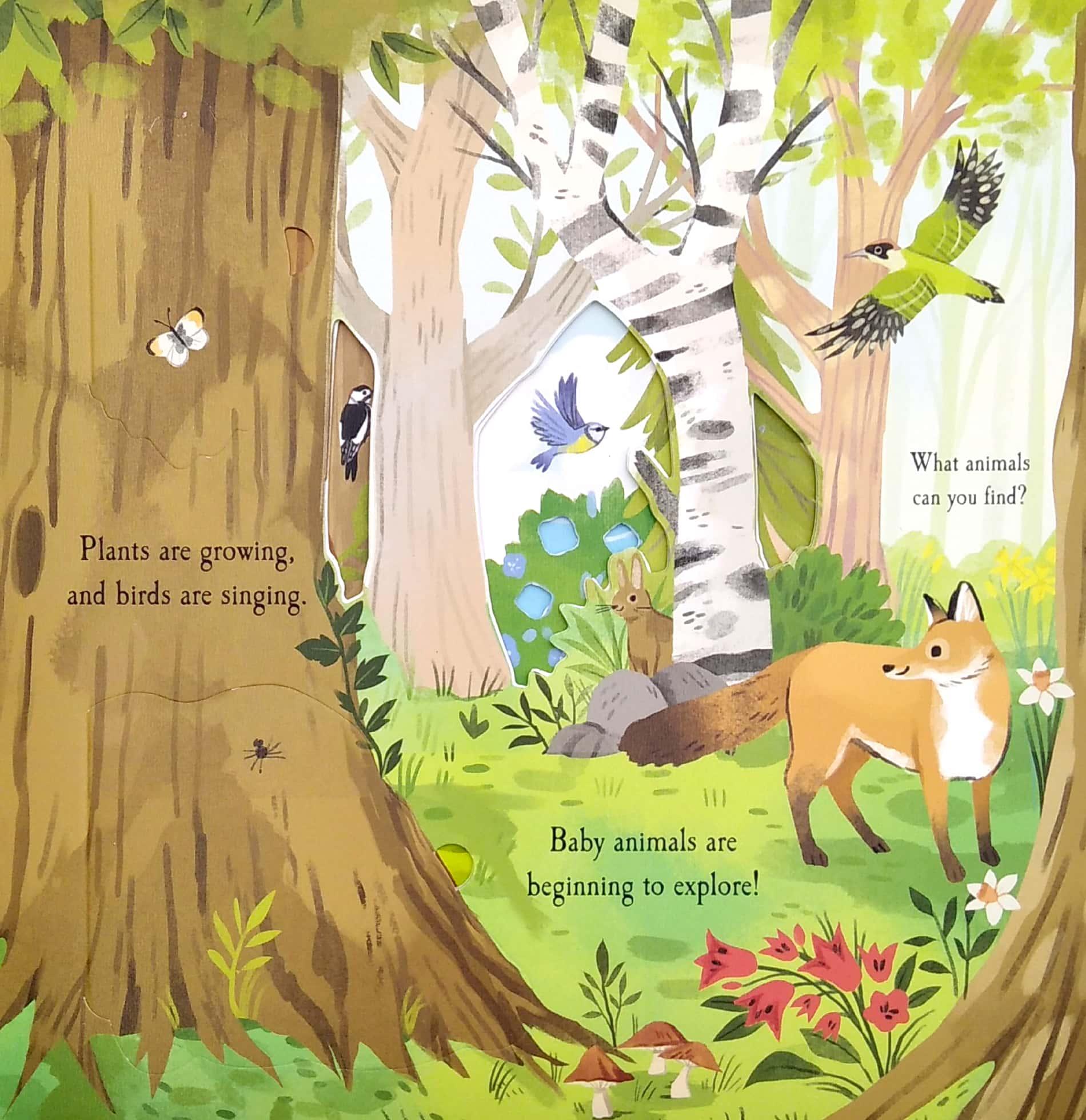Nature Die-cut Book - Let