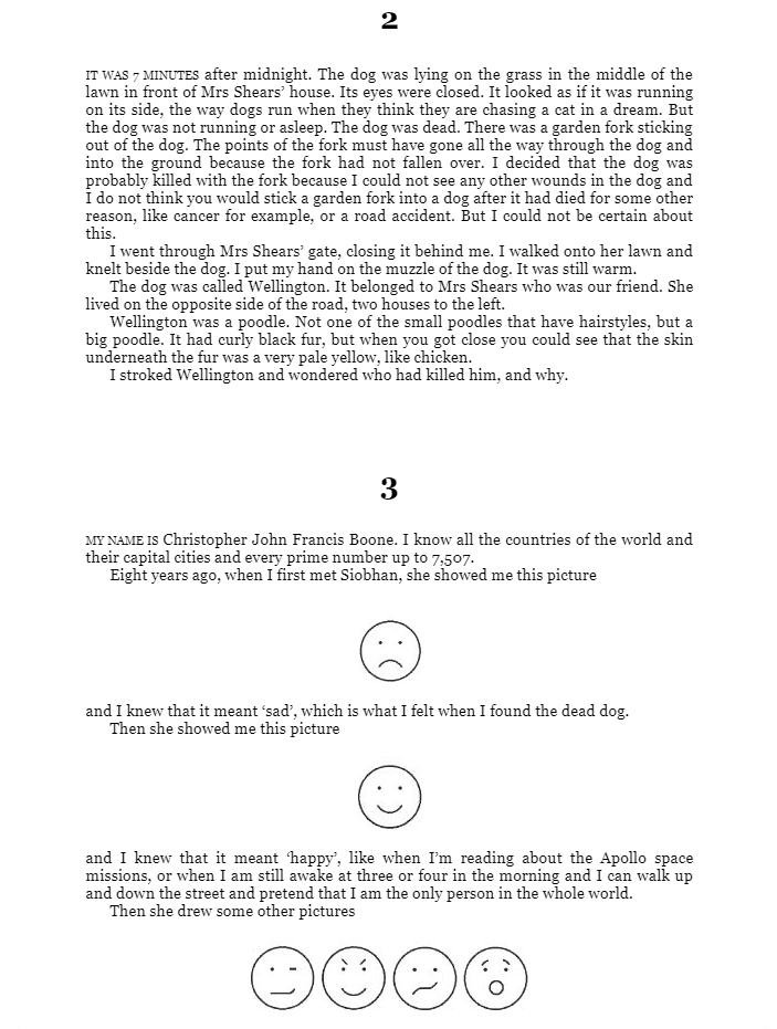 The Curious Incident of the Dog in the Night-time : Vintage Children