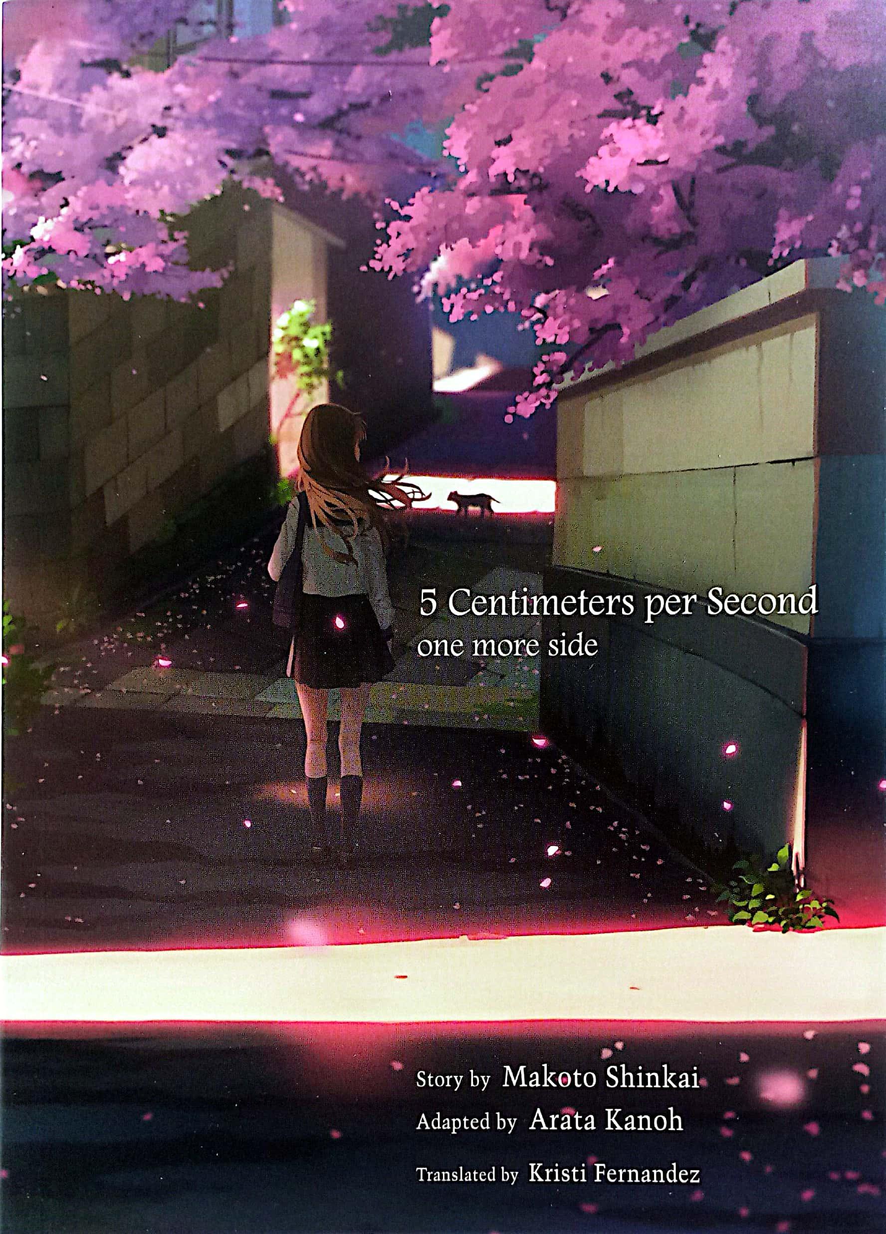 5 Centimeters Per Second: One More Side