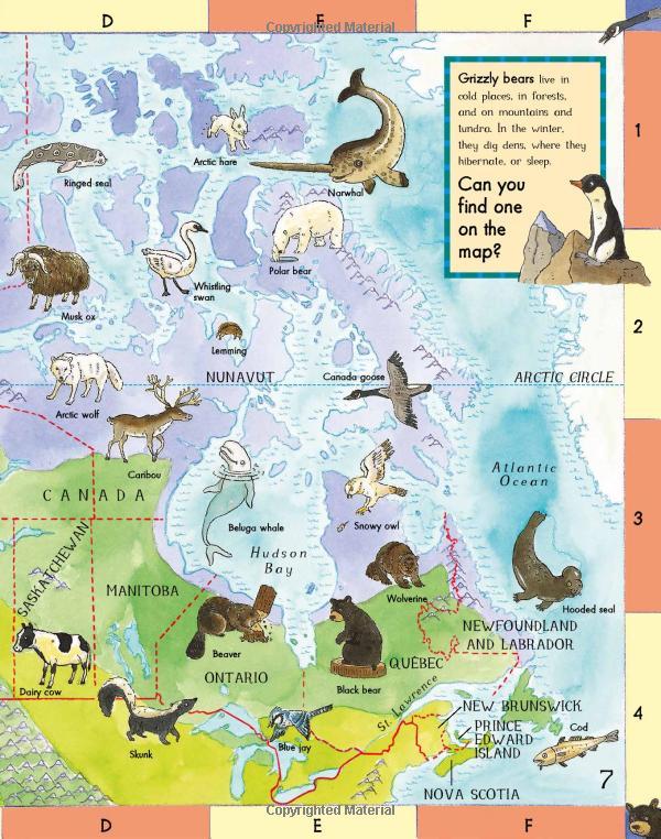 First Animal Picture Atlas
