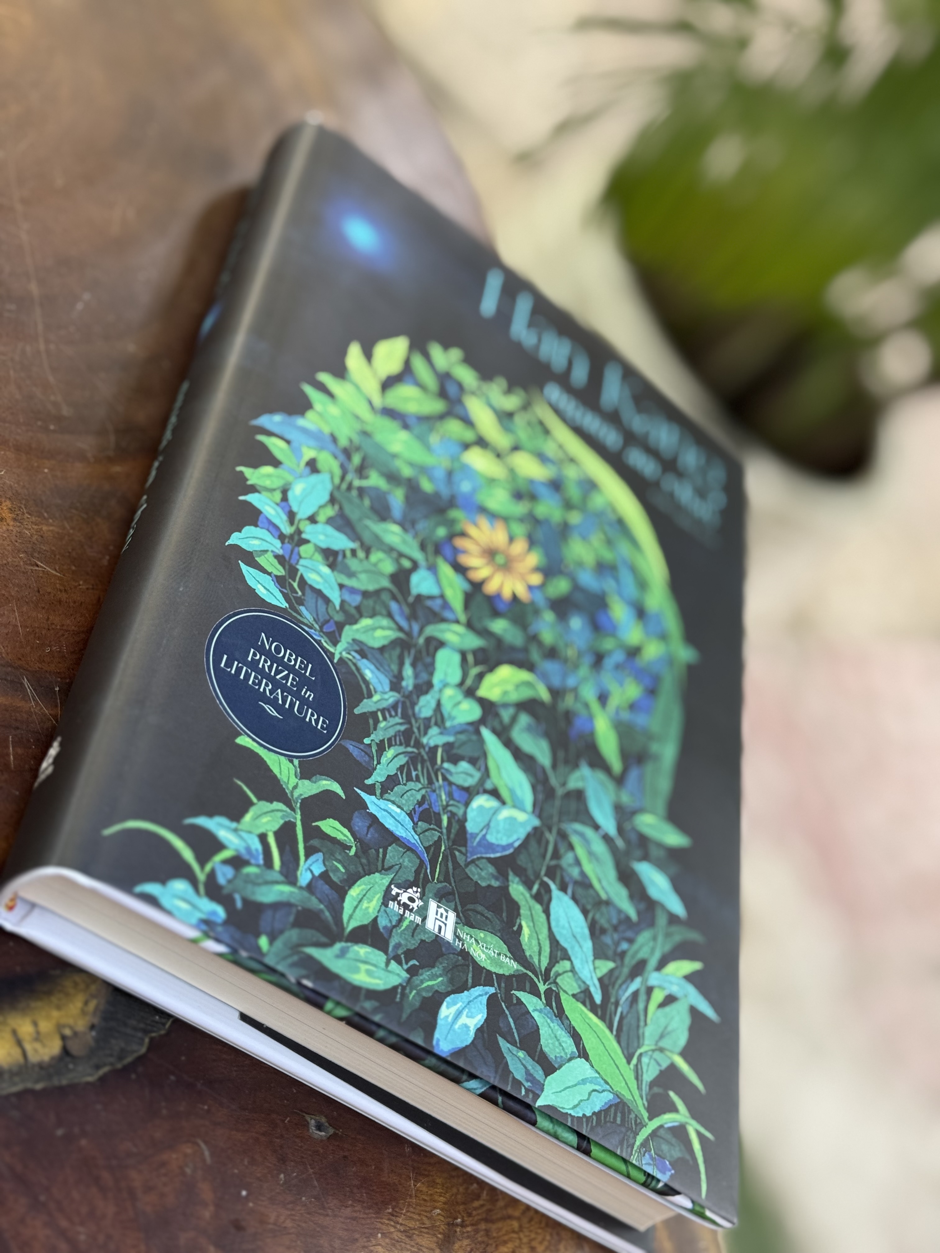 (Bìa cứng 300c phủ UV , giấy 100gsm, tặng bookmark) Người Ăn Chay - Han Kang (Nobel Văn chương 2024) - Nhã Nam