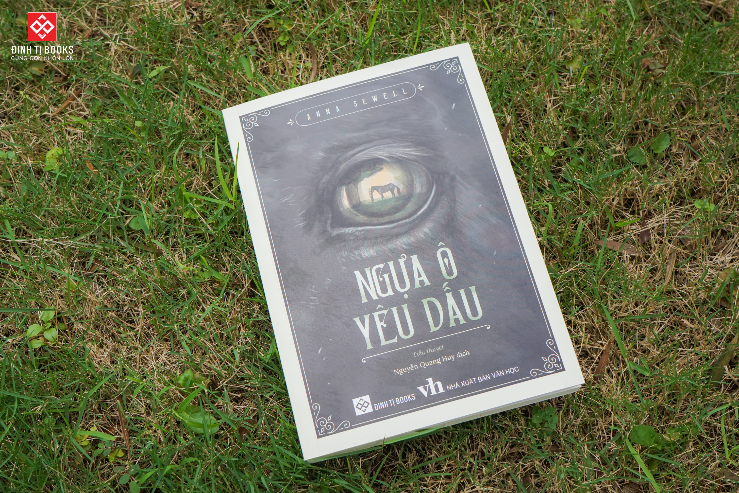 Sách - Ngựa ô yêu dấu Anna Sewell - Đinh Tị Books