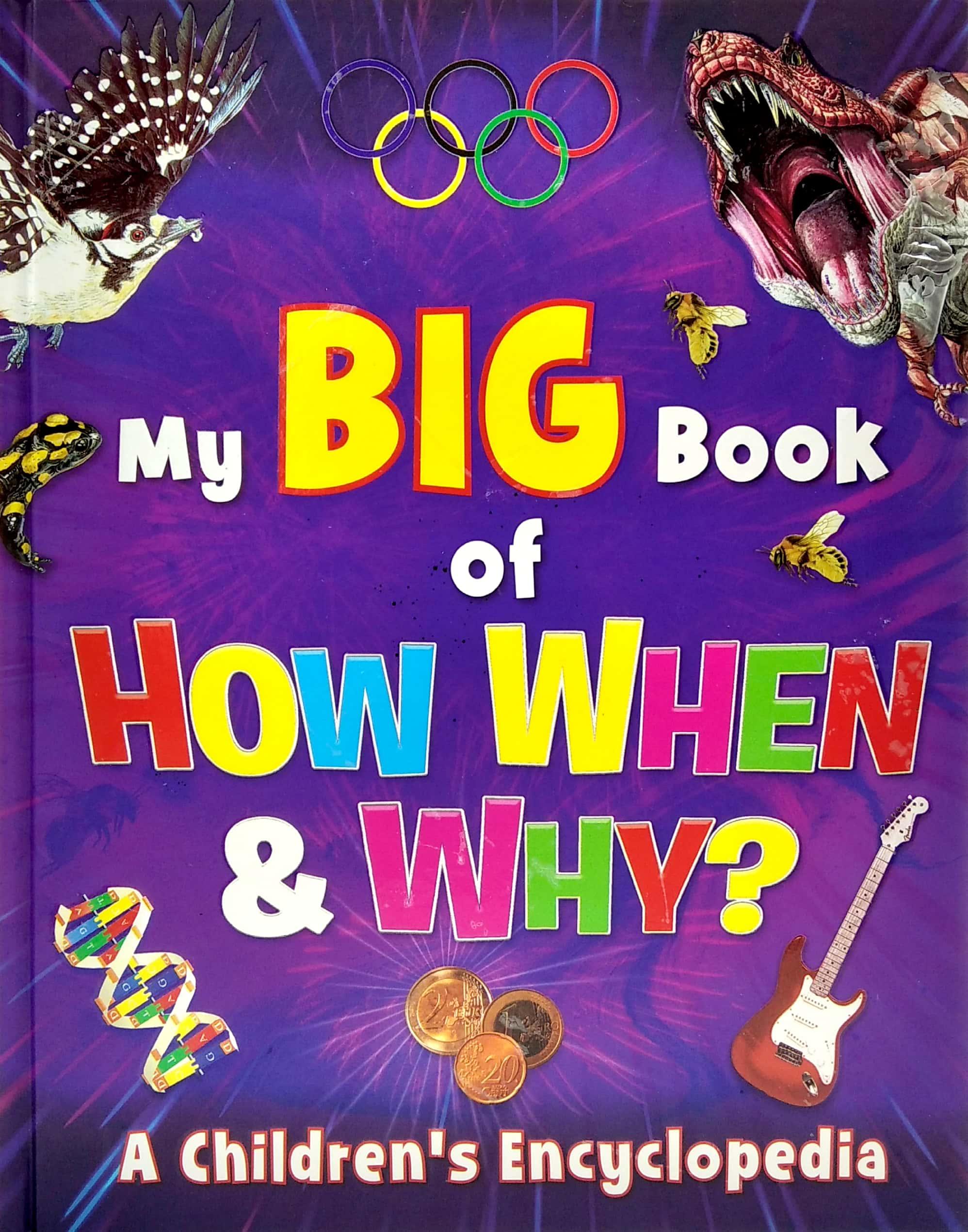The Big Book Of How, When And Why?