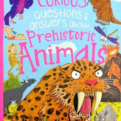 A Curious Library Of Questions And Answers