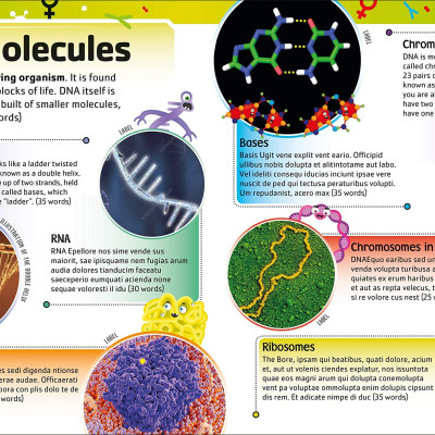 The Dna Book: Discover What Makes You You
