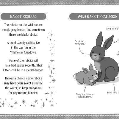 Lucky Bunnies : An Animal Rescue Dolls Story