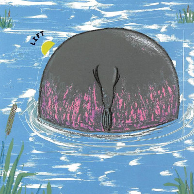 Wild Bottoms: A Lift-The-Flap Book