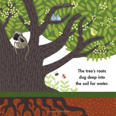 Big Ideas For Little Environmentalists: Restoration With Wangari Maathai