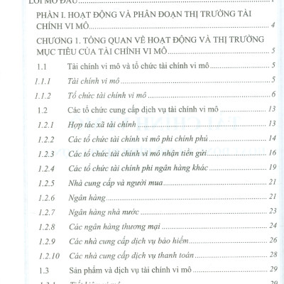TÀI CHÍNH VI MÔ - Hoạt Động Và Mô Hình Định Lượng