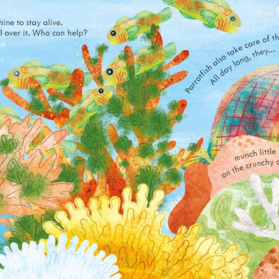 Sách tương tác thiếu nhi tiếng Anh : Peep Inside A Coral Reef