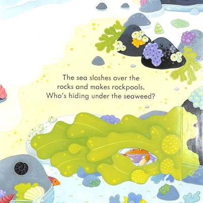 Peep Inside The Seashore