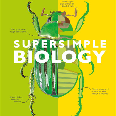 Biology: The Ultimate Bitesize Study Guide (Supersimple)