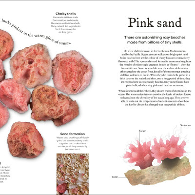 Sách ngoại văn: Weird And Wonderful Nature -Tales Of More Than 100 Unique Animals, Plants, And Phenomena