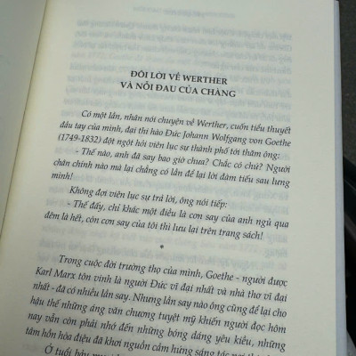 (Bìa cứng) NỖI ĐAU CỦA CHÀNG WERTHER – Johann Wolfgang Von Goethe – Quang Chiến dịch – Nhã Nam – NXB Văn học