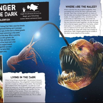 Sách tiếng Anh - Real Life Monsters Of The Deep