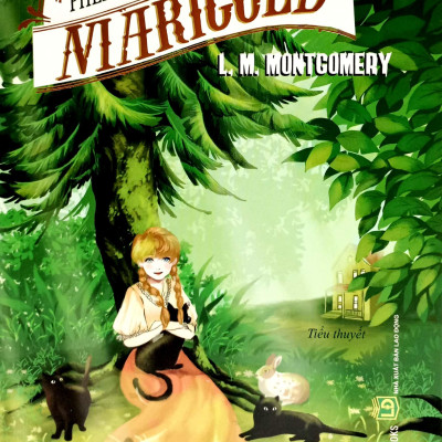 Bộ Sách Những Mảnh Đời Xuôi Ngược (Bộ 4 Cuốn)