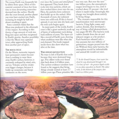 The Kingfisher Nature Encyclopedia