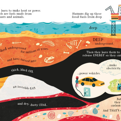 Can We Really Help The Polar Bears?