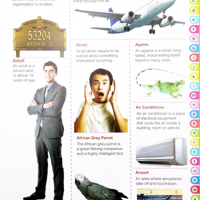 My Ultimate Picture Dictionary