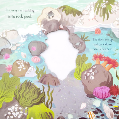 Nature Die-cut Book - Let