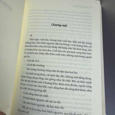 (Tái bản 2023) ĐINH TRANG MỘNG - Diêm Liên Khoa - Tao Đàn