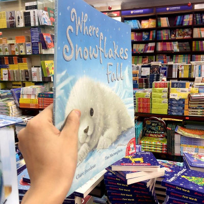 Where Snowflakes Fall